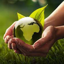 Top 10 Ways To Protect The Environment - Save Our Environment At Home