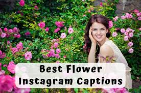 A collection of amazing photography quotes made by famous photographers and ordinary people here is a fantastic collection of the remarkable photography quotes. 175 Best Instagram Captions For Flower Photos 2021