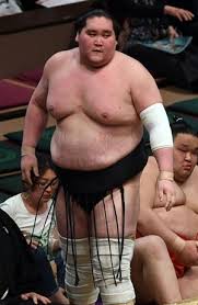 Terunofuji haruo is a mongolian professional sumo wrestler from ulaanbaatar who is expected to become the sport's 73rd yokozuna. æ—¥é¦¬äº‹ä»¶ã§é™¥è½ è²´ãƒŽå²©ã¨ç…§ãƒŽå¯Œå£«ãŒæ˜Žæš—ãã£ãã‚Š Zakzak