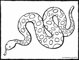 Dibujo Serpiente Para Colorear