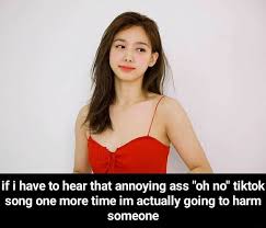 If I Have To Hear That Annoying Ass Oh No Tiktok Song One More Time Im Actually Going To Harm Someone If I Have To Hear That Annoying Ass Oh No