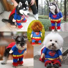 Super Dog Costume Dog Costume Pet Costumes Dog Clothes