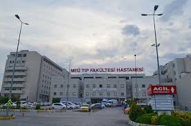 We did not find results for: Mersin Deki Salgin Hastaneleri Kovid 19 A Duvar Oldu