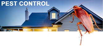 They also handle dead animal removal and trapping services and more. Commercial Pest Control Gold Coast Pest Control Experts