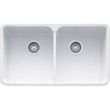 franke double basin kitchen sinks