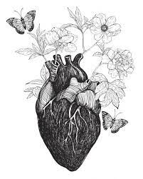 Check spelling or type a new query. 7 165 Anatomical Heart Vector Images Free Royalty Free Anatomical Heart Vectors Depositphotos