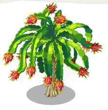 Just be careful as you're taking them out of the pot, to. Dragonfruit Tree Here Be Monsters Wiki Fandom