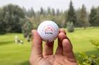 Salmon Arm Golf Club showcases environmental stewardship ...