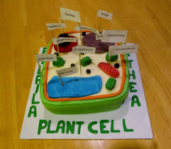 We did not find results for: Plant Cell Clay Model Labeled Plant Cell Anatomy