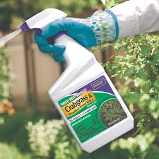 Bonide Weed Beater Fe, 1 Gallon Ready-To-Use, Weed, Disease, Moss, Algae  And Lichen Control In Lawns 322 - The Home Depot