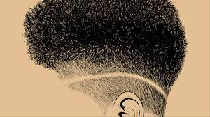 6 min tools you'll need: These Intricate Illustrations Of Black Women S Hair Promote Self Love I D