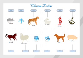Chinese Zodiac Diagram Free Chinese Zodiac Diagram Templates