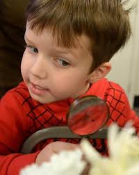 Forestry program teaches children the impact of trees