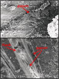 Establishing an open and trusting patient relationship is at the heart of fourth. Microbiologically Induced Aesthetic And Structural Changes To Dimension Stone Npj Materials Degradation