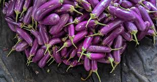 Image result for Solanum macrocarpon