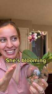 320 Outside ideas in 2025