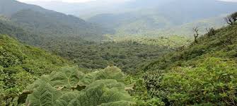 Costa rica ist ein land, in dem viel für die natur getan wird. Green Pearls Costa Rica Nachhaltige Hotels Und Eco Lodges