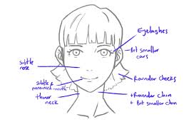 Imgur.com anime face drawing, anime head, drawing anime head. How To Start Drawing Anime 25 Step By Step Tutorial And Classes Skillshare Blog