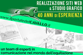 Libera nel vento, A cavallo verso Santiago di Compostela. Un viaggio come  un romanzo, di Dino Marchese