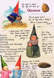 Secrets Of The Gnomes Gnomo De Jardim Fadas Ilustracoes