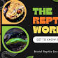 Learn, Meet and Hold Reptiles event image