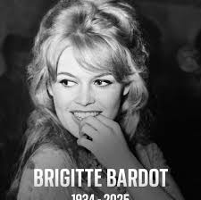 The praying mantis..the insect assassin…