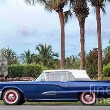 Image result for Dark Blue 1972 Thunderbird