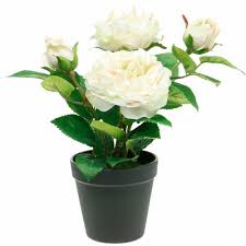 Die beste qualität günstig bestellen online auf florablom.com. Pfingstrose Im Topf Romantische Deko Rose Seidenblume Cremeweiss 11895 Preiswert Online Kaufen