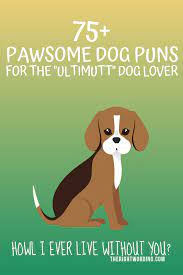 39 happy birthday dog puns ranked in order of popularity and relevancy. 75 Pawsome Dog Puns For The Ultimutt Dog Lover
