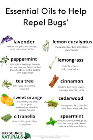 Essential Oils To Help Repel Bugs In 2020 Essential Oils Diy Essential Oils Insect Repellent