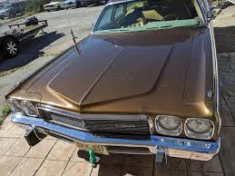 Image result for Chestnut 1973 Fury