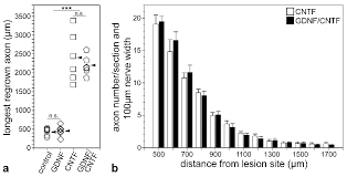 Cells Free Full Text Intravitreal Co Administration Of Gdnf And Cntf Confers Synergistic And Long Lasting Protection Against Injury Induced Cell Death Of Retinal Ganglion Cells In Mice Html