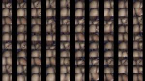 Katanté avec une dakaroise - XNXX.COM