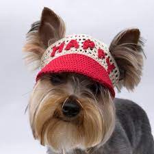 Dog S Cap With Text Baseball Cap For Dog Visor Cap For Etsy Dog Hat Crochet Dog Crochet Hats