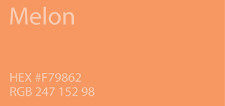 24 Shades Of Orange Color Palette