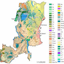 Political maps of africa, historical maps of africa, printable outline maps of africa, regional maps of map of africa showing natural vegetation including deserts, savanna, tropical rainforest, tundra. The Potential Natural Vegetation Map Of Eastern Africa Pnv Map Based Download Scientific Diagram