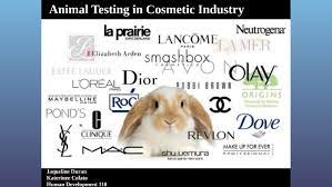 Show us your worth with #lorealparisfamily we are for a world without animal testing #foraworldwithnoanimaltesting. Animal Testing In The Cosmetic Field By Katherin Colato