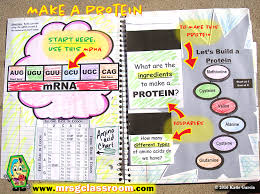 #2 a c t dna: Rna Protein Synthesis Interactive Notebook Mrs Gs Classroom