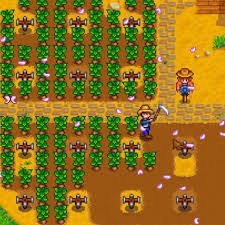 Each of the modpacks below can be hosted on our servers. Stardew Servers The First And Only Dedicated Stardew Valley Servers Stardew Servers