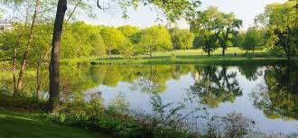 After everything is complete you can fill your pond with water. Turtle Pond Central Park Conservancy