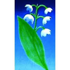 Qui, je l'espère, te portera chance, joyeux 1er mai ! Brin De Muguet Plastique Boite De 100 Cdiscount Maison