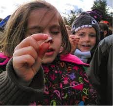 Seed Saving in Atlantic Canada