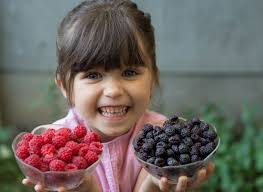 Kansas City U-Pick Berries, Orchards and Farms