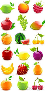Crystal Texture Of Fruit Vector Fruit Vector Fruit Icons Fruit Clipart