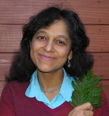 Tapestry Thinker: Nalini Nadkarni