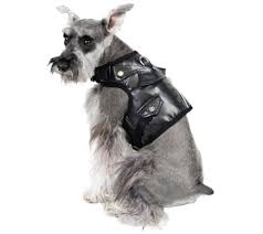 martha stewart faux leather dog harness vest qvc com