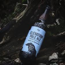 Learn about beers from ireland and irish beer brands are among the most popular and recognizable in the world. The 12 Best Irish Beers That Everyone Should Try In Ireland