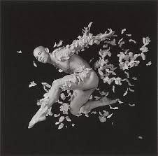 Resultado de imagen para lois greenfield