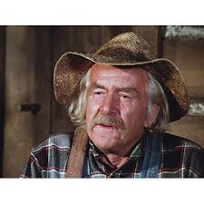 The Waltons: Complete Series & Movie Collection (DVD)