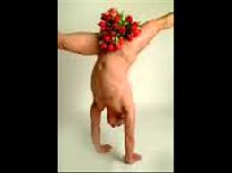 Maybe you would like to learn more about one of these? La Multi Ani Parodie Youtube